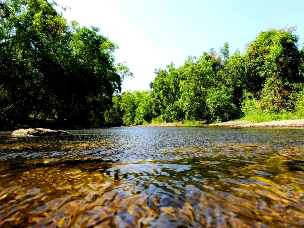 The Wilds Villa Gir Jungle Stay With Swimming Pool Sasan Gir Bagian luar foto