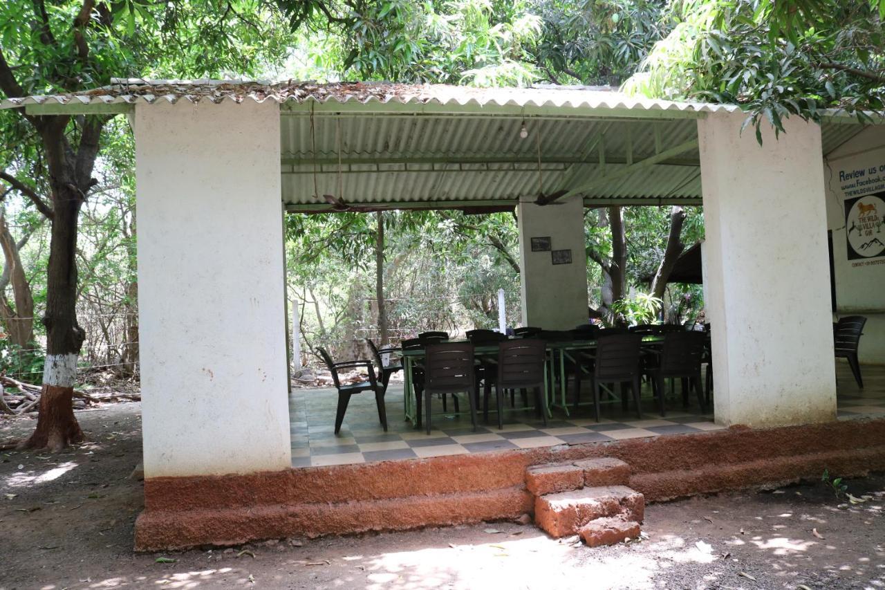 The Wilds Villa Gir Jungle Stay With Swimming Pool Sasan Gir Bagian luar foto